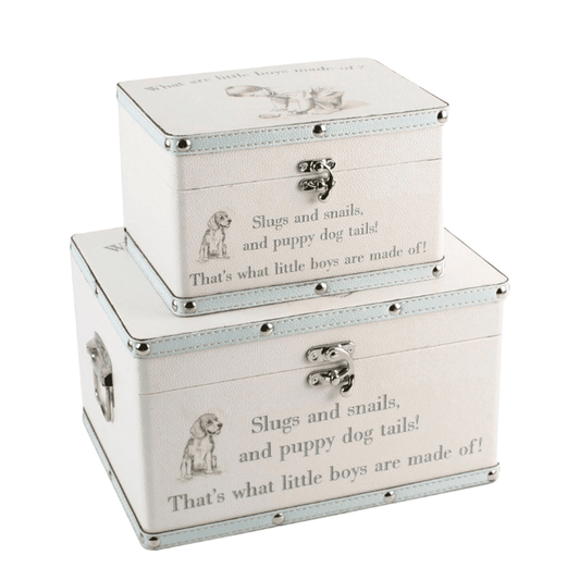 Petit Cherie Luggage Series - Set of 2 Boxes - "LITTLE BOYS"