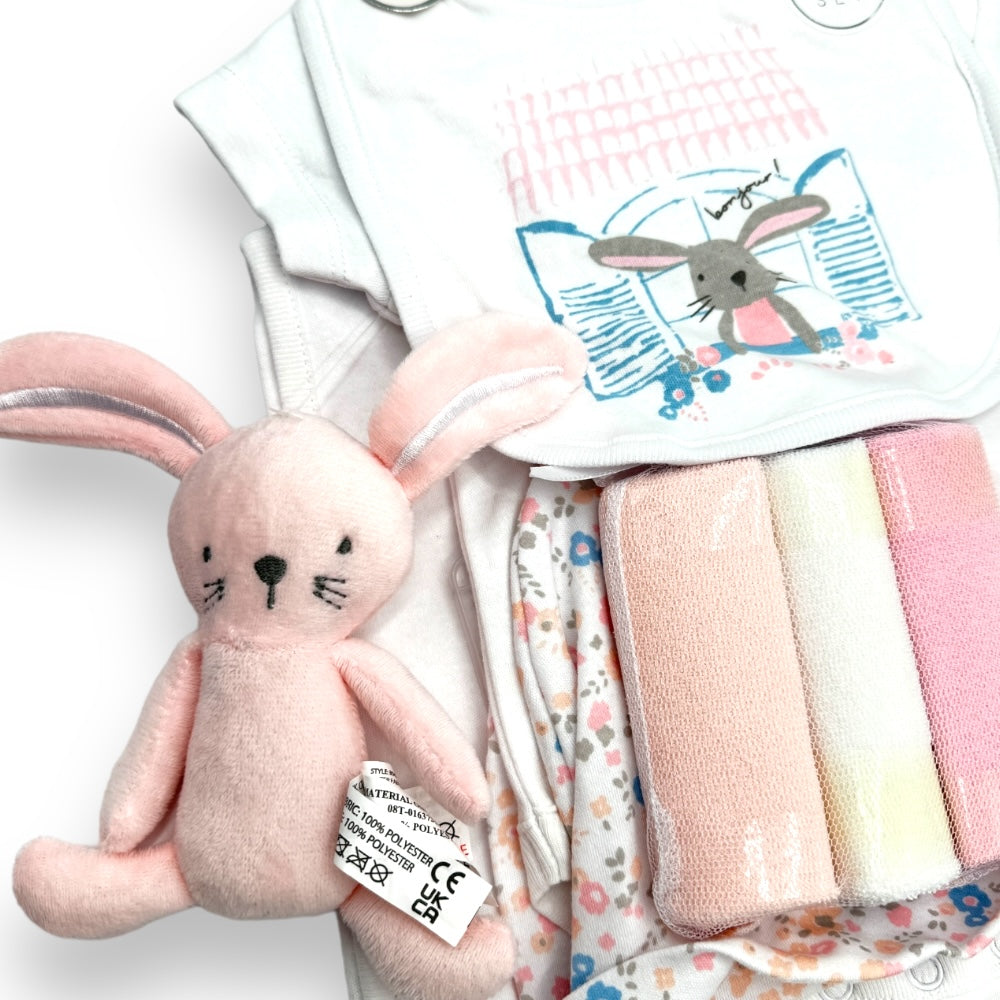 Pink bunny soft toy in Bunny Haven gift set