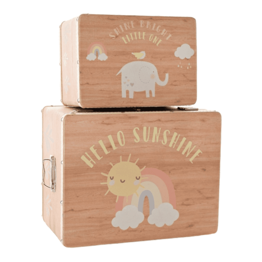 Petit Cheri Set of 2 Storage Boxes