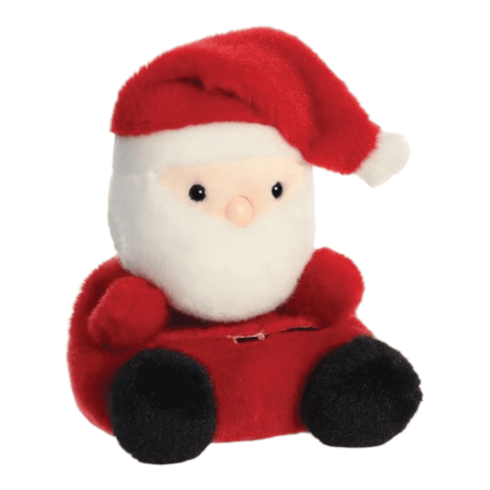 Palm Pals Santa Claus Soft Toy made from recycled materials