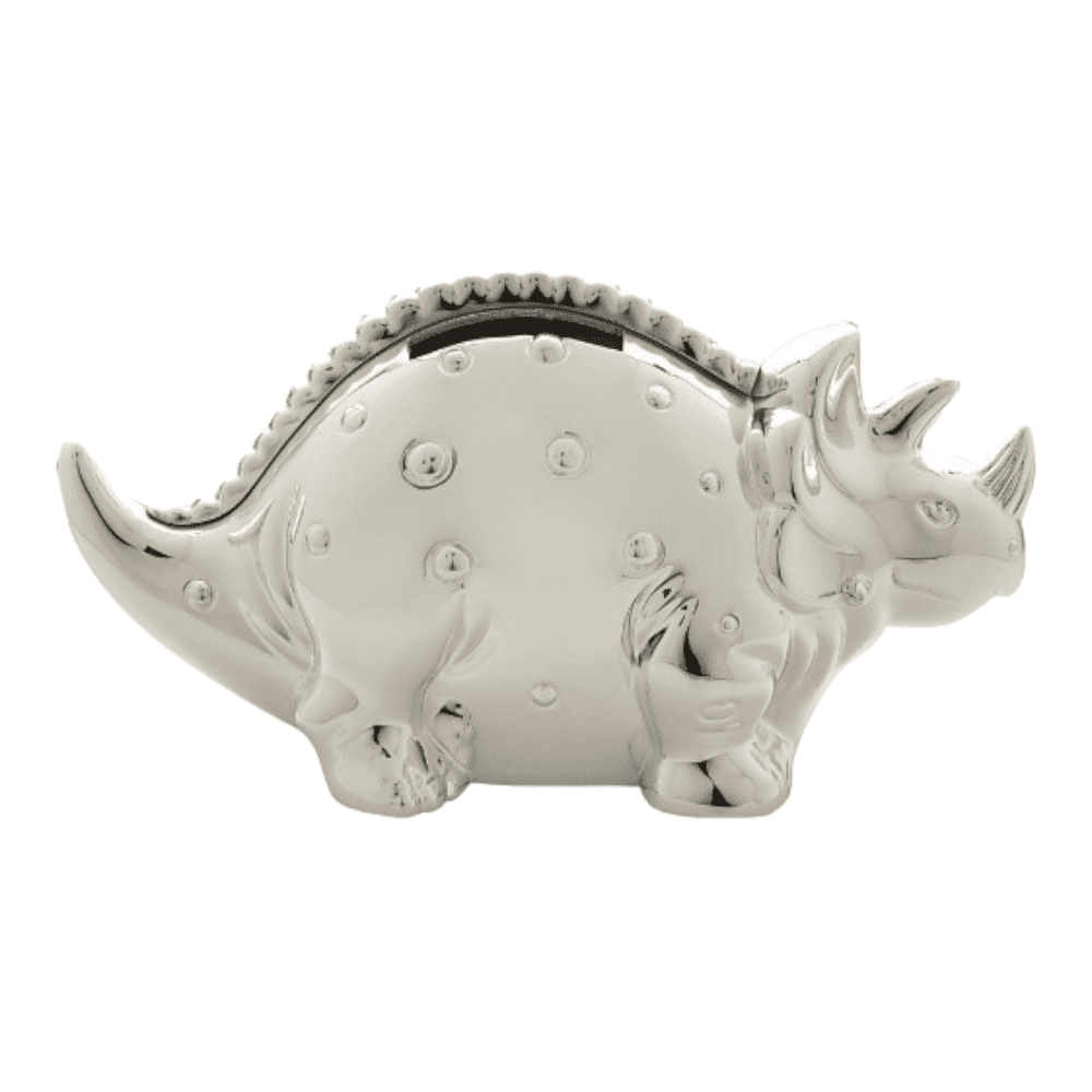 Dinosaur money box with smooth and textured finish