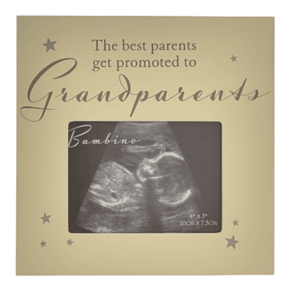 Grandparents Scan Frame