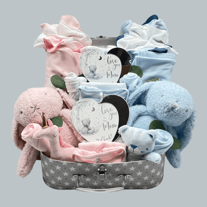 Large Luxury "Star" Suitcase Hamper for Twins featuring baby essentials in pink and blue