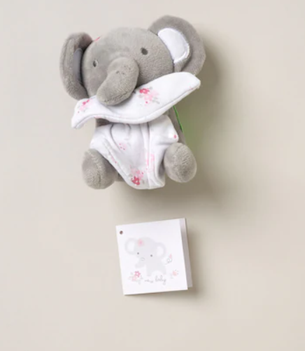 Adorable Toy and Gift Card from the Baby Gift Set