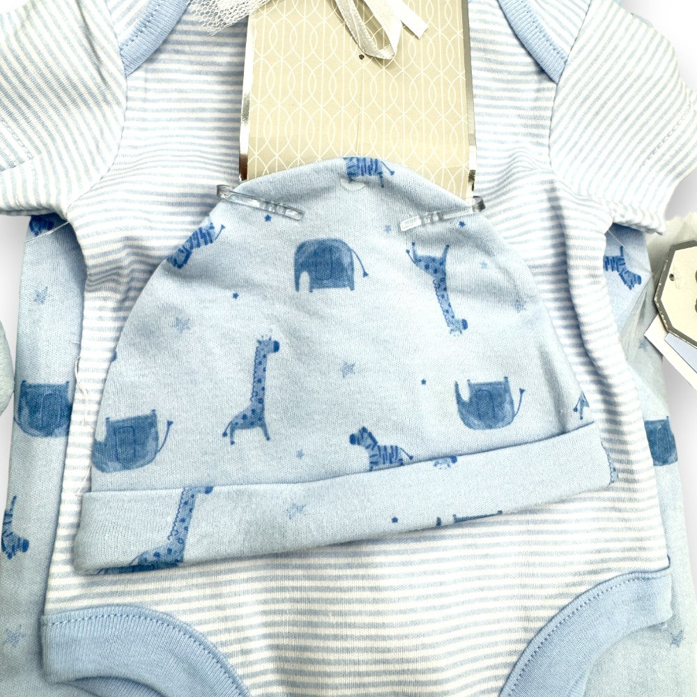 Safari Adventure: 10-Piece Baby Blue Layette Gift Set