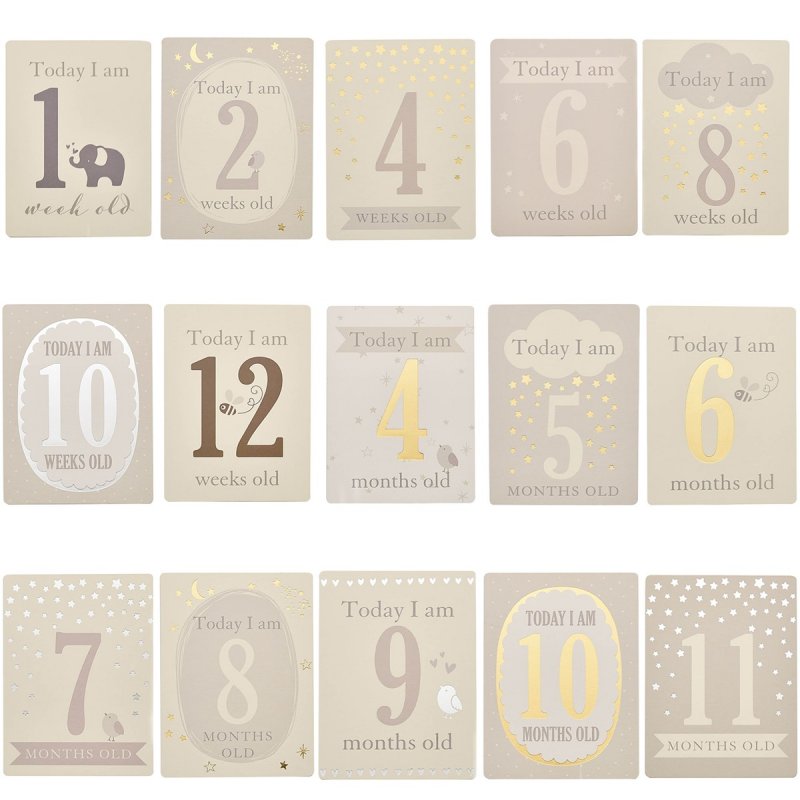 Bambino Milestone Cards by BAMBINO BY JULIANA® - Complete Set