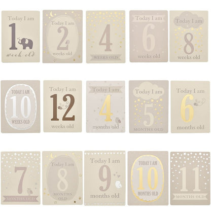 Bambino Milestone Cards by BAMBINO BY JULIANA® - Complete Set